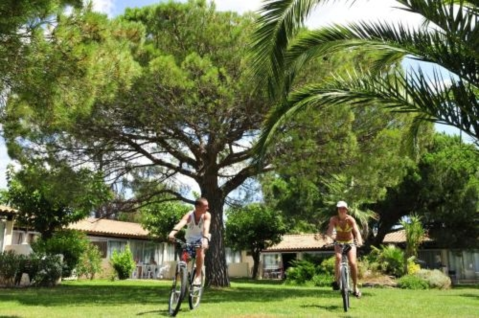 Goélia Le Mas Blanc