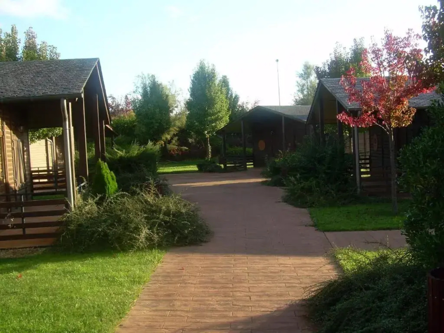 El Bosque de los Sueños