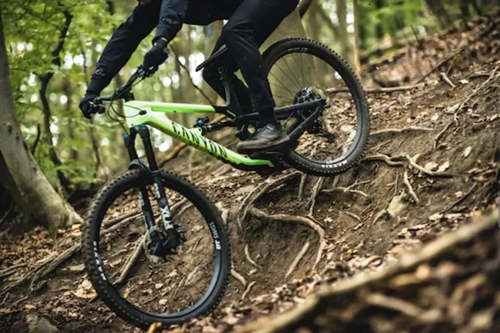 Kokomo Inn - Tropical Riverfront B&B