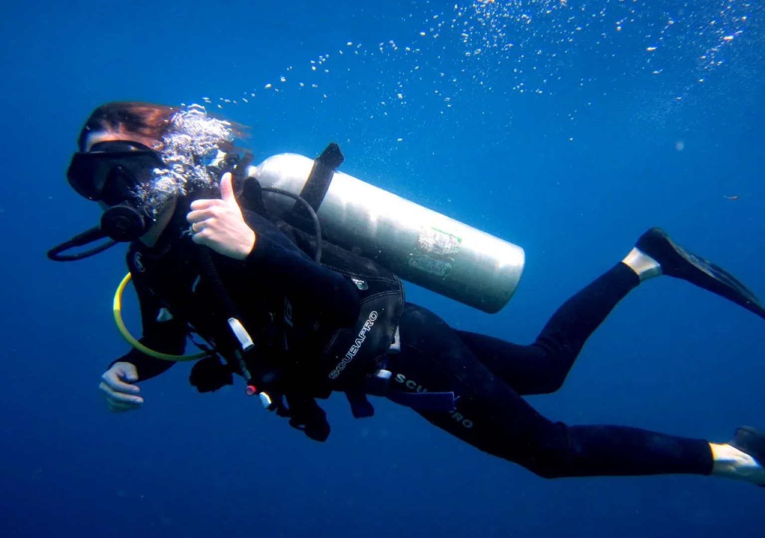 Made Taro - Menjangan Homestay