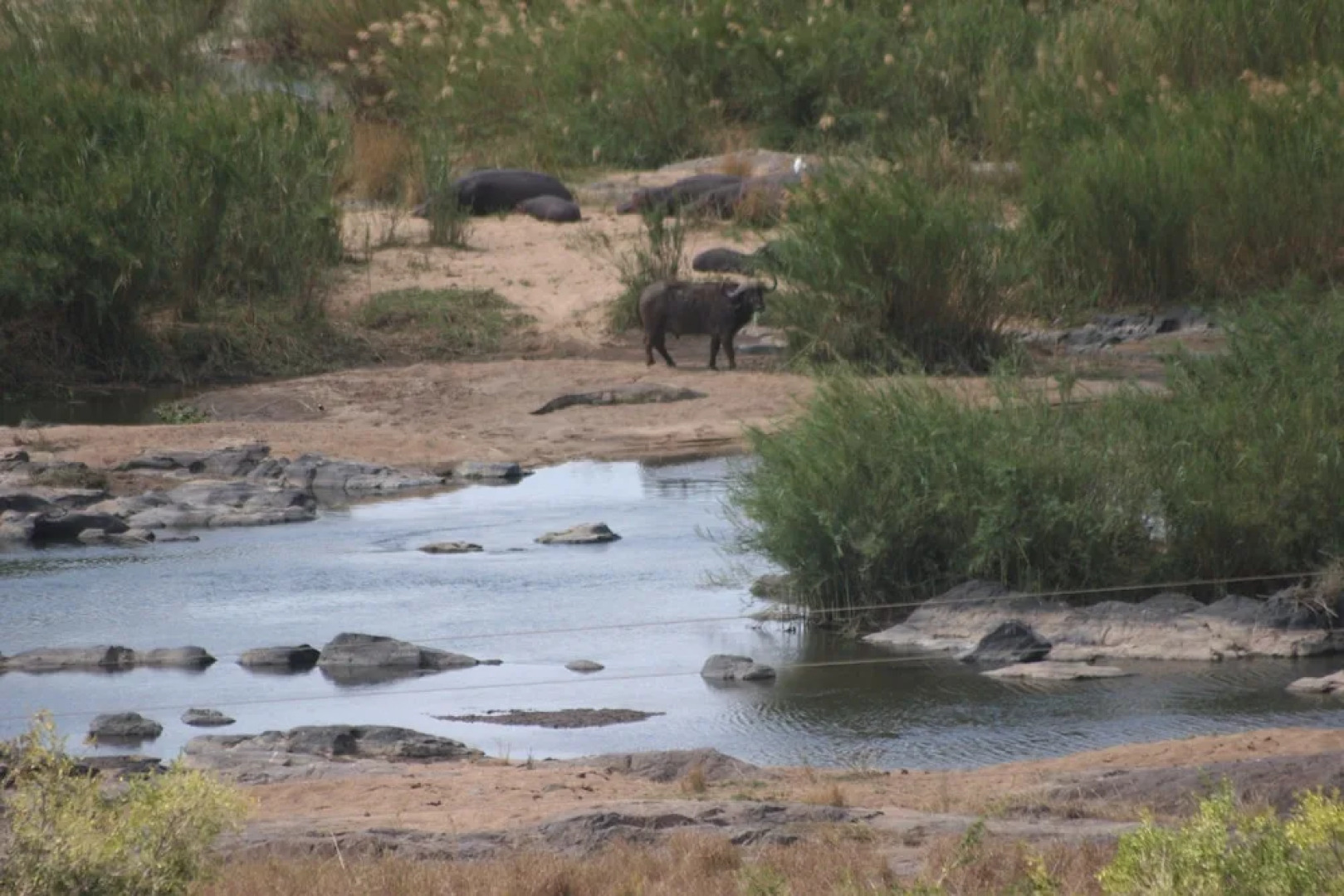 Villa Candilabra Guesthouse