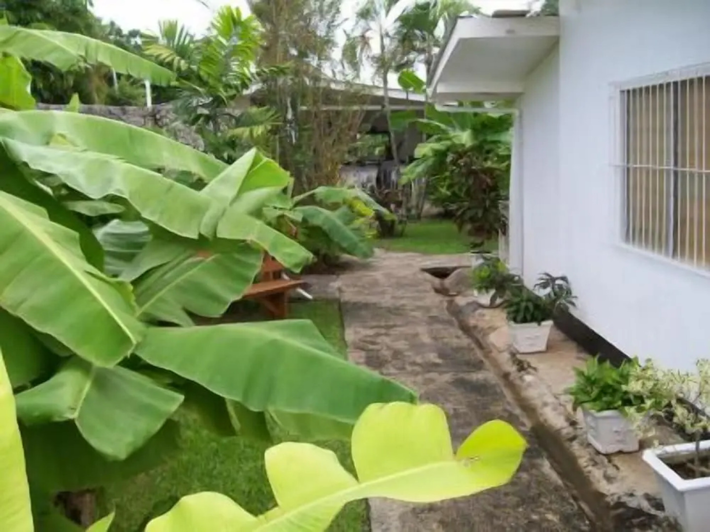 Golden Thistle Hotel