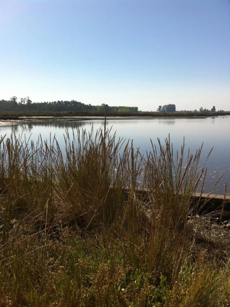 Verde Ria apartamento