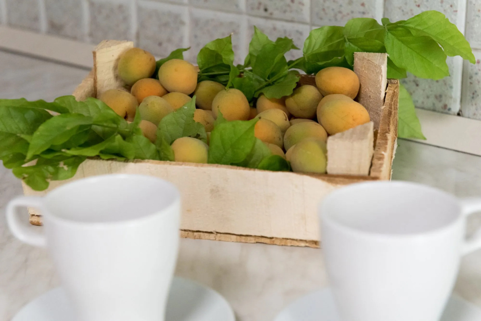 Relais Regina Rosanna