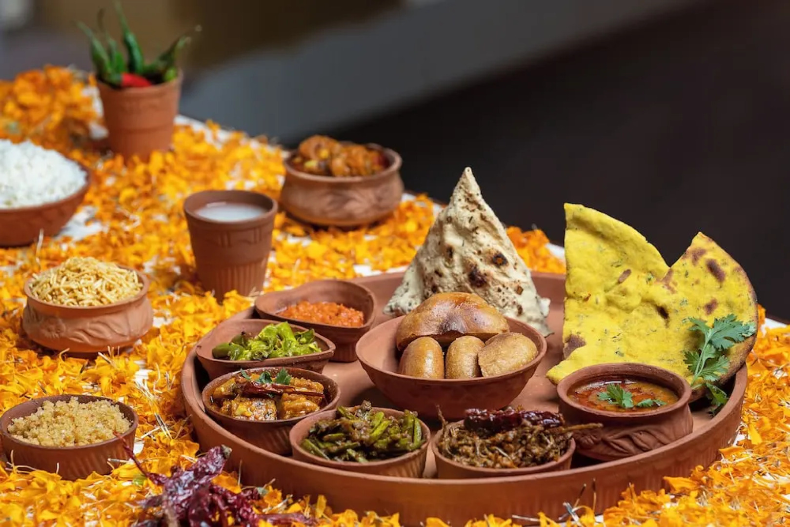 Brij Gaj Kesri, Bikaner - A Boutique Luxury Palace