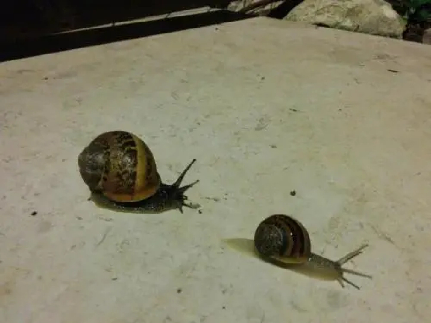 Dekel Guesthouse - Hotel Ramat Gan