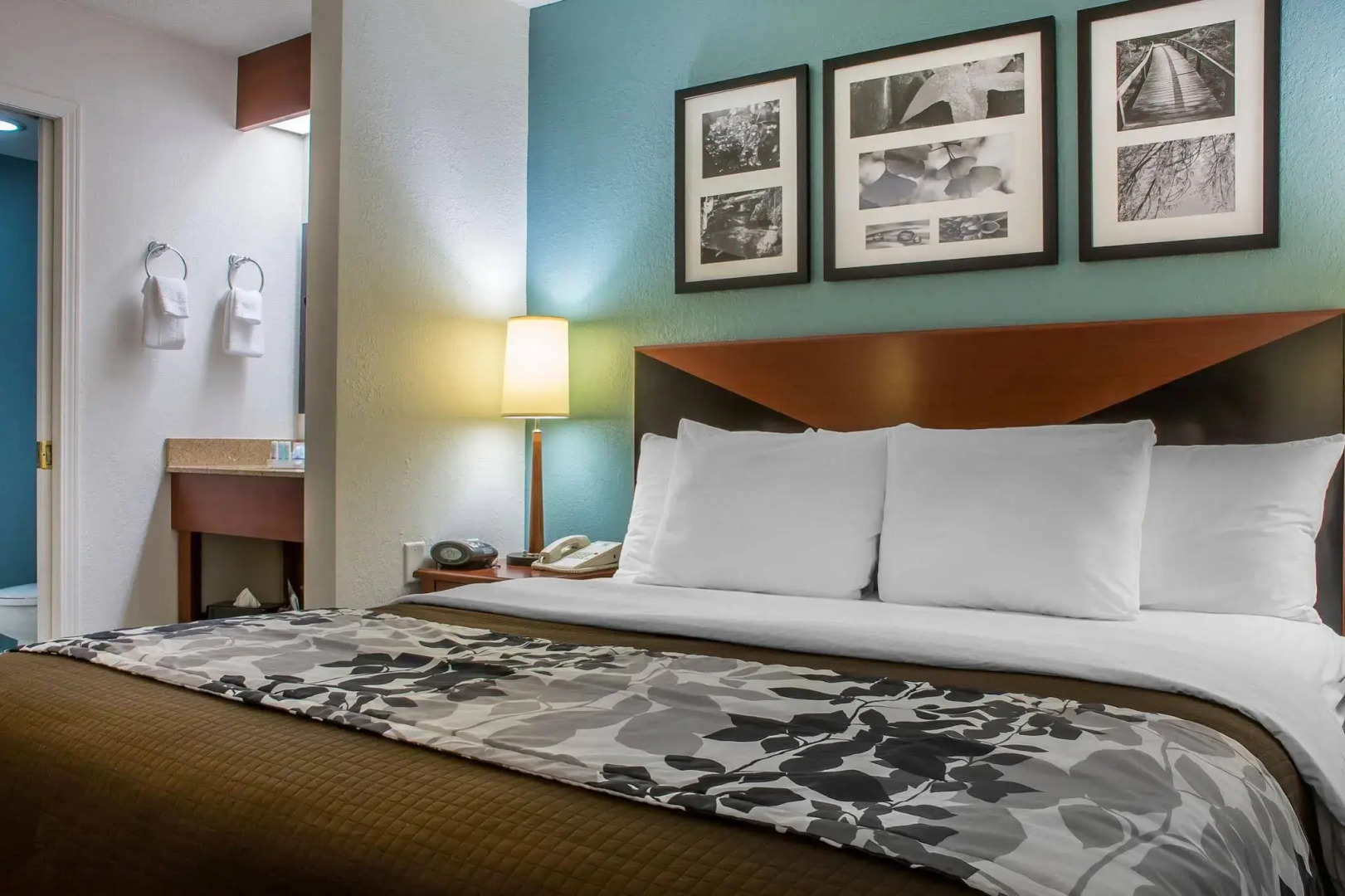 Sleep Inn Amherst - Buffalo North near University