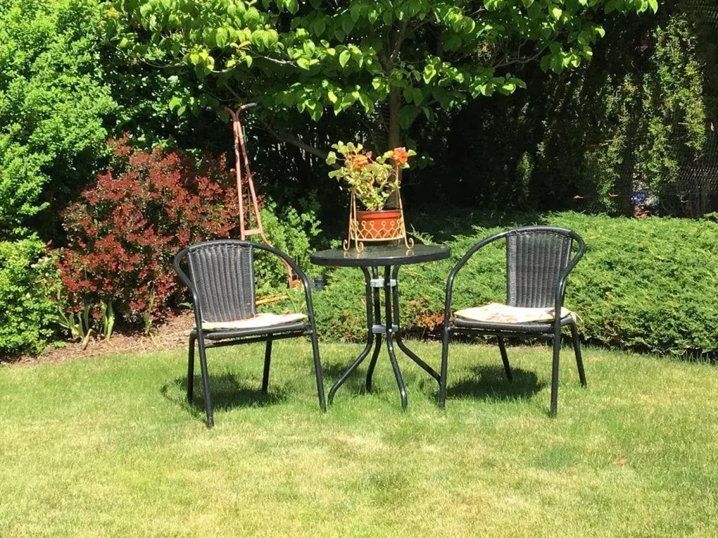 Yellow Rose Bed & Breakfast