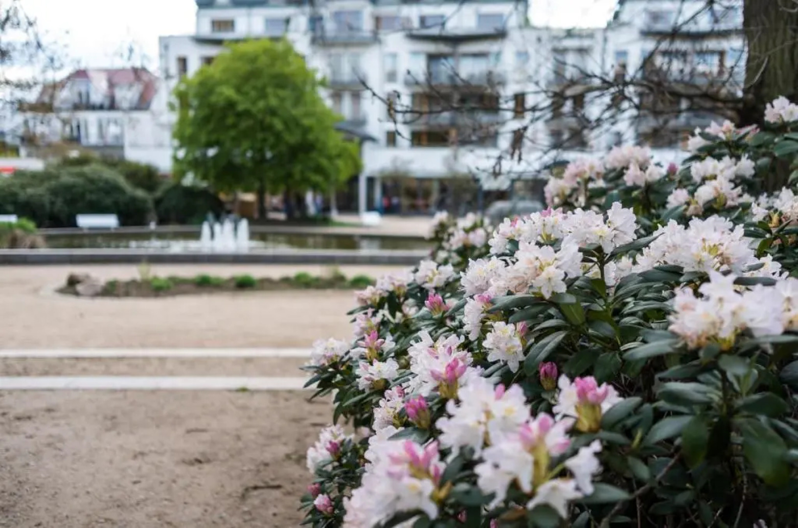 Hotel Royal - Timmendorfer Strand