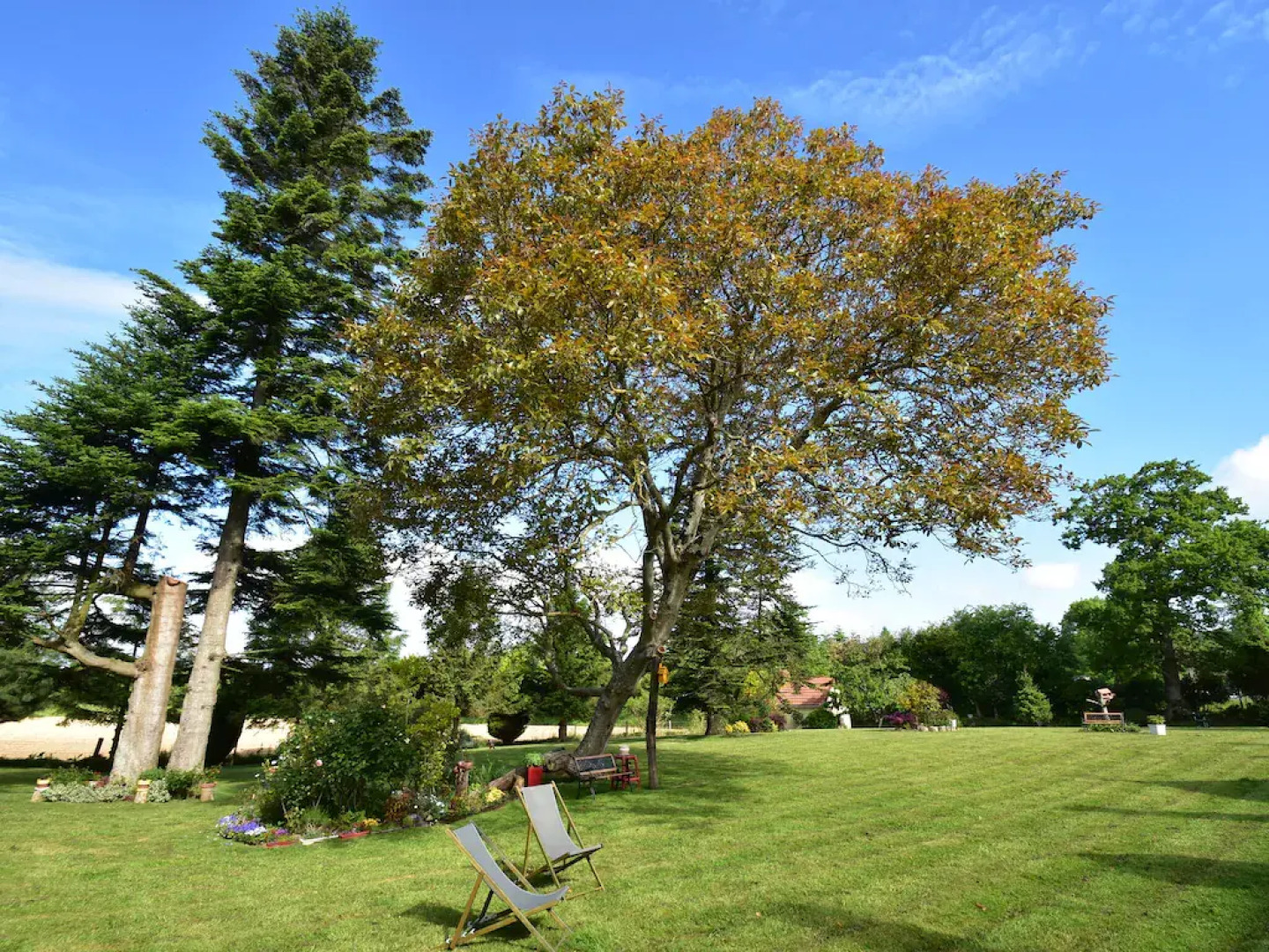 Typical Norman Farmhouse With Free Wifi, a Short Drive From the Coast