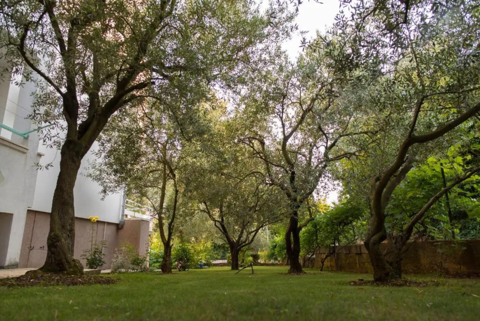 Apartments Villa Lena