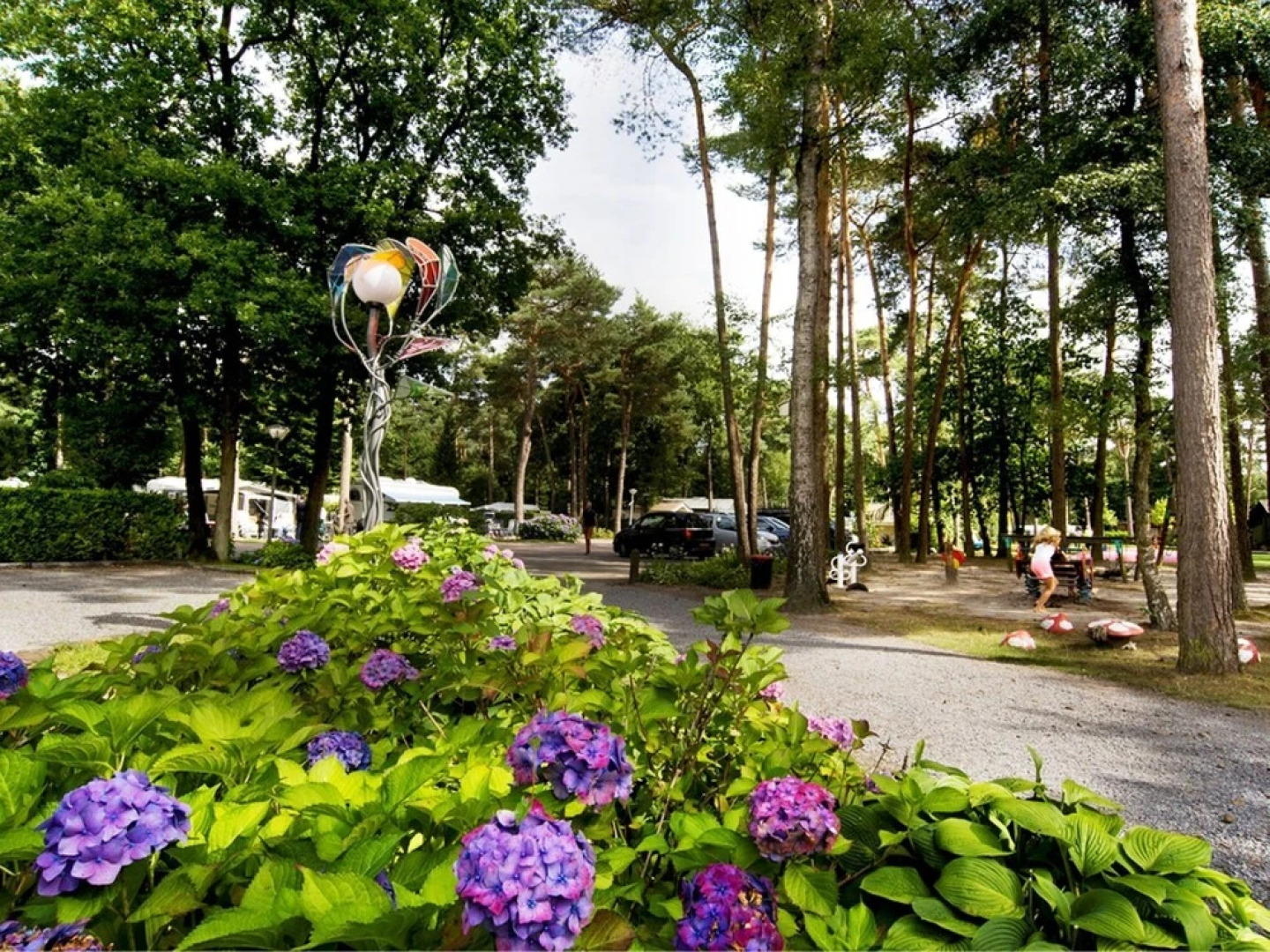 Likeable Chalet with Terrace near Oisterwijkse Vennen