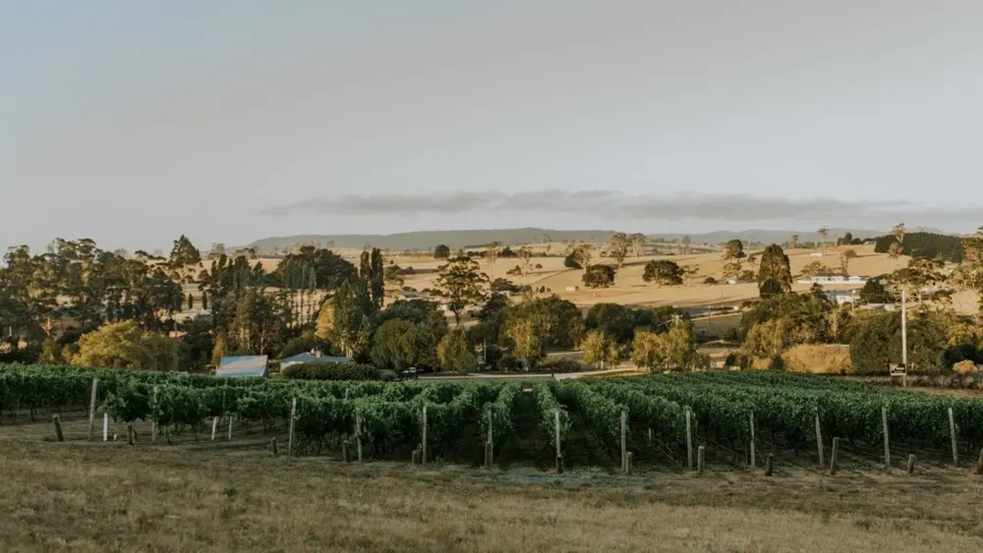 3 Willows Vineyard Cottage