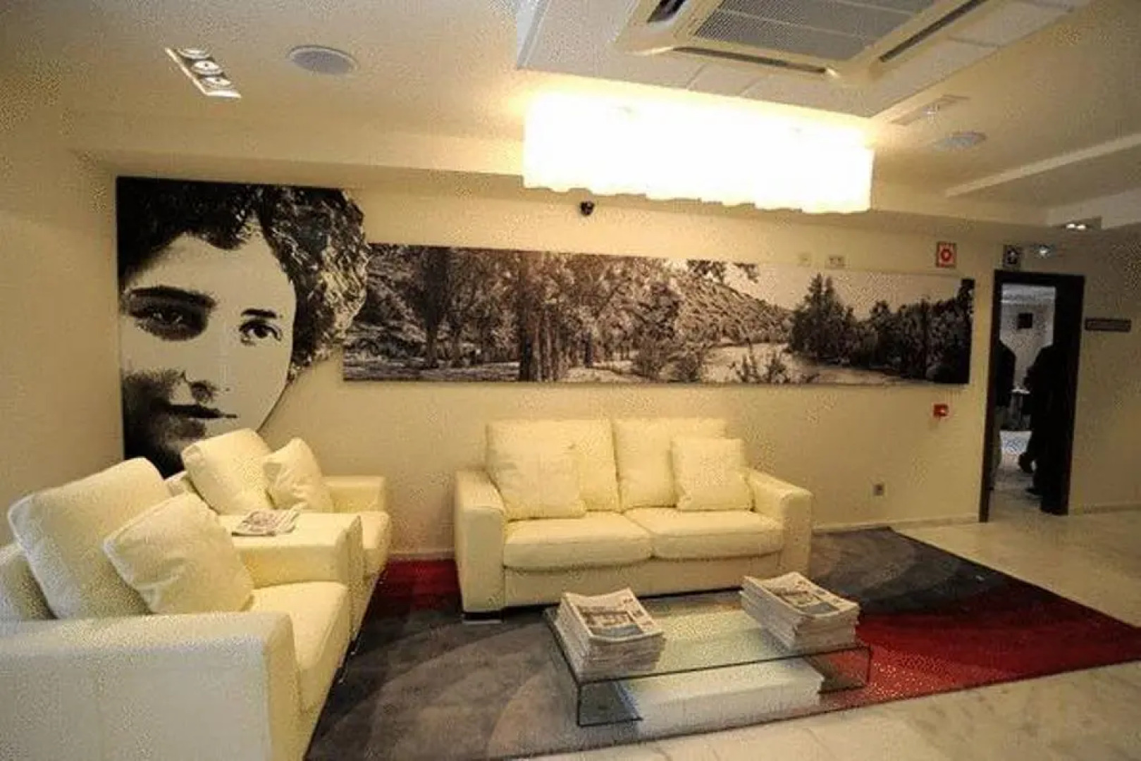 Hotel Alameda Centro