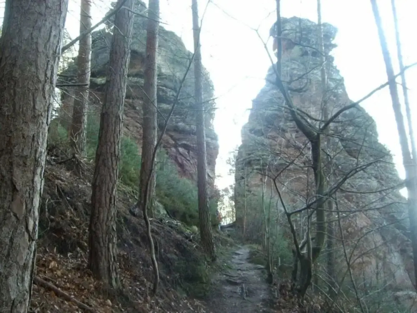 Holiday Apartment on Breitenberg