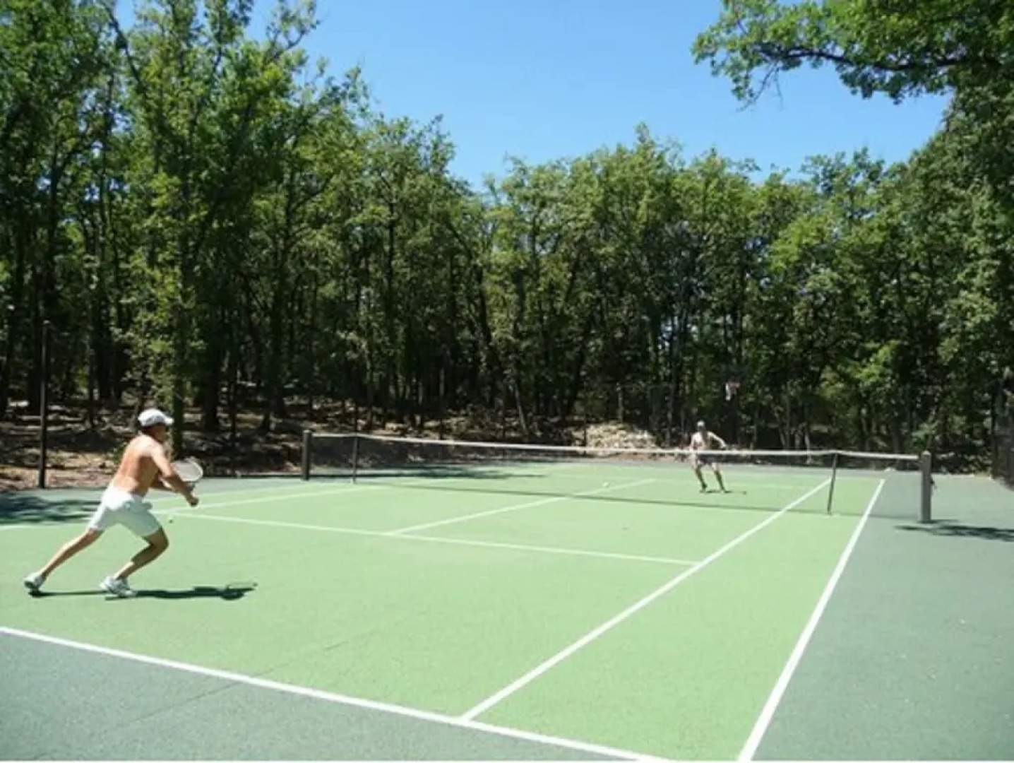 Chambres d'hôtes La Dryade