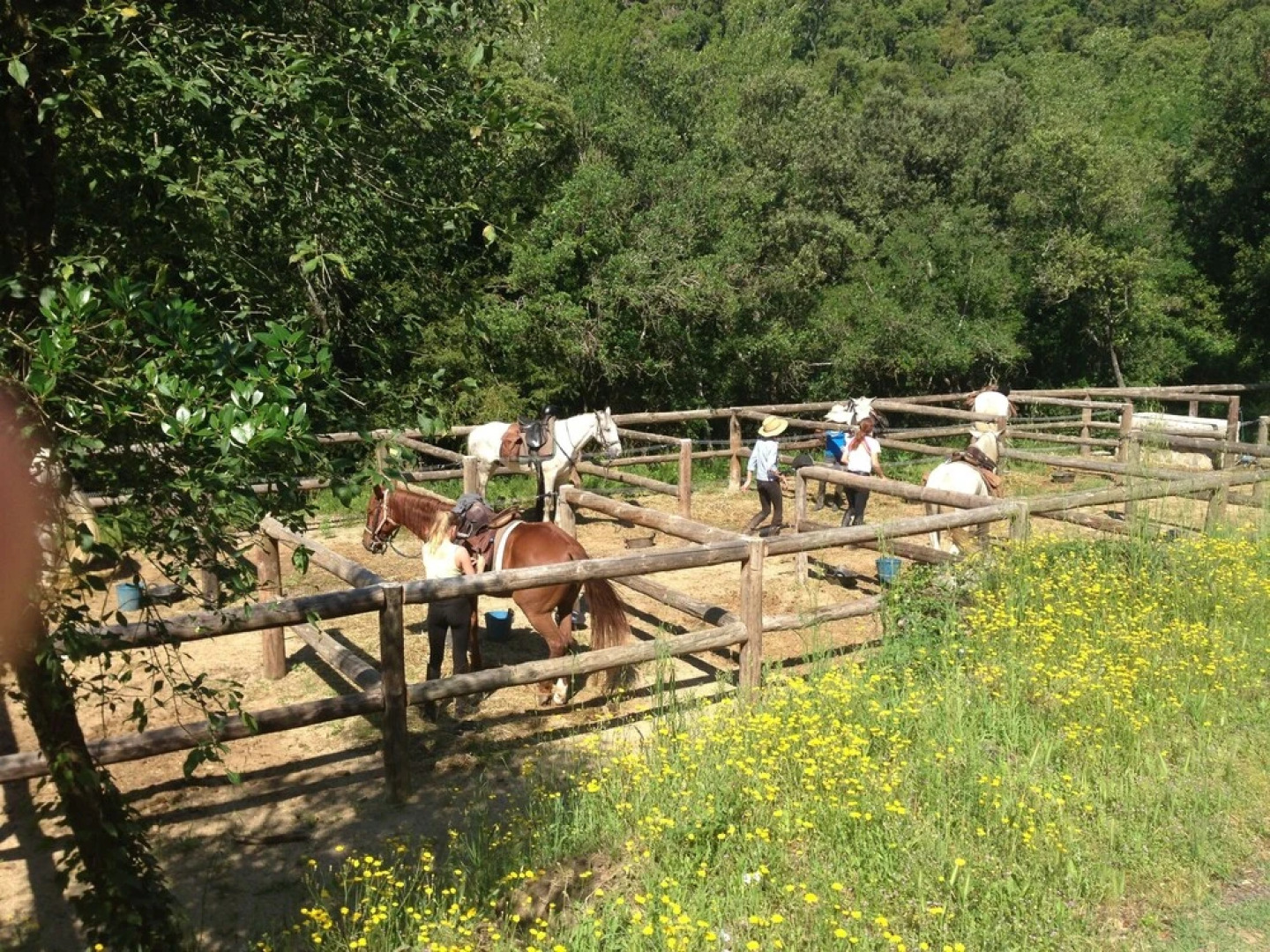 Hotel Spa La Central