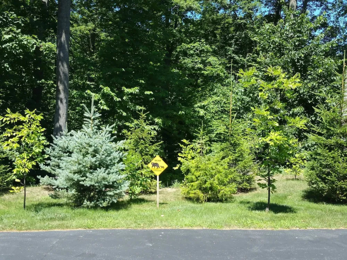 Elegant 2 king bedroom apartment