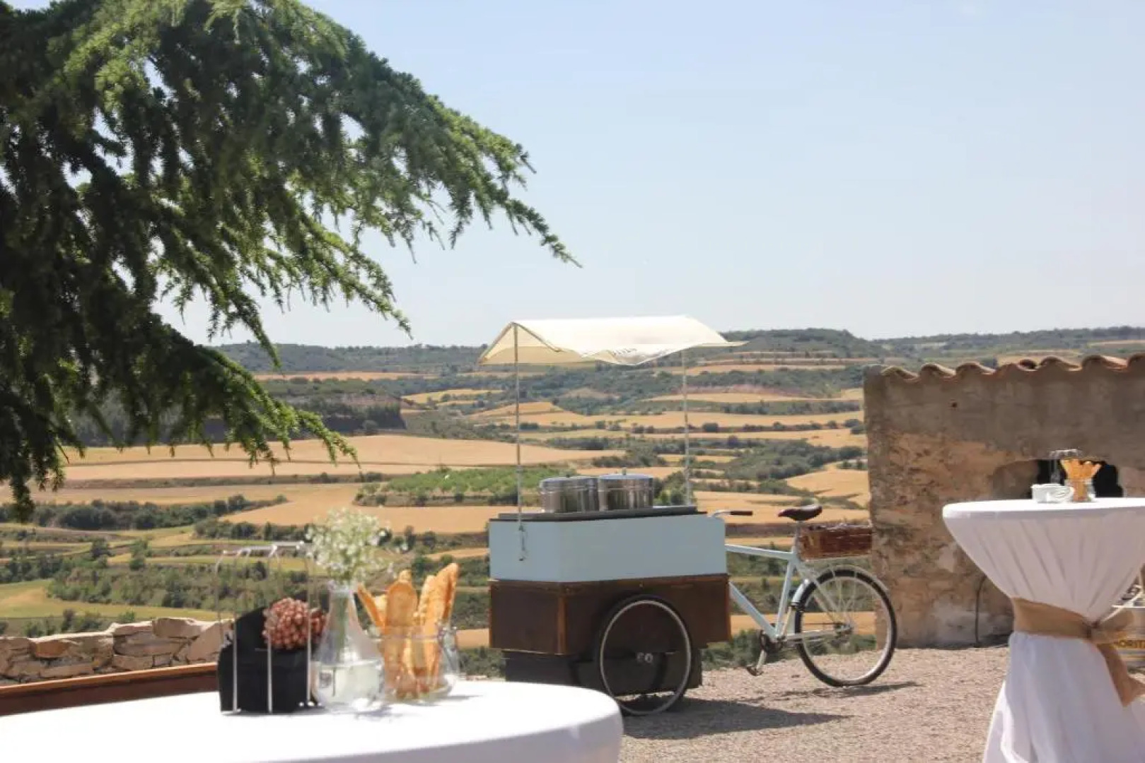 Castell de Fonolleres