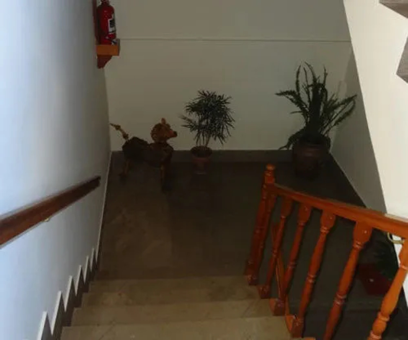 Hotel Alejandro I Patagonia