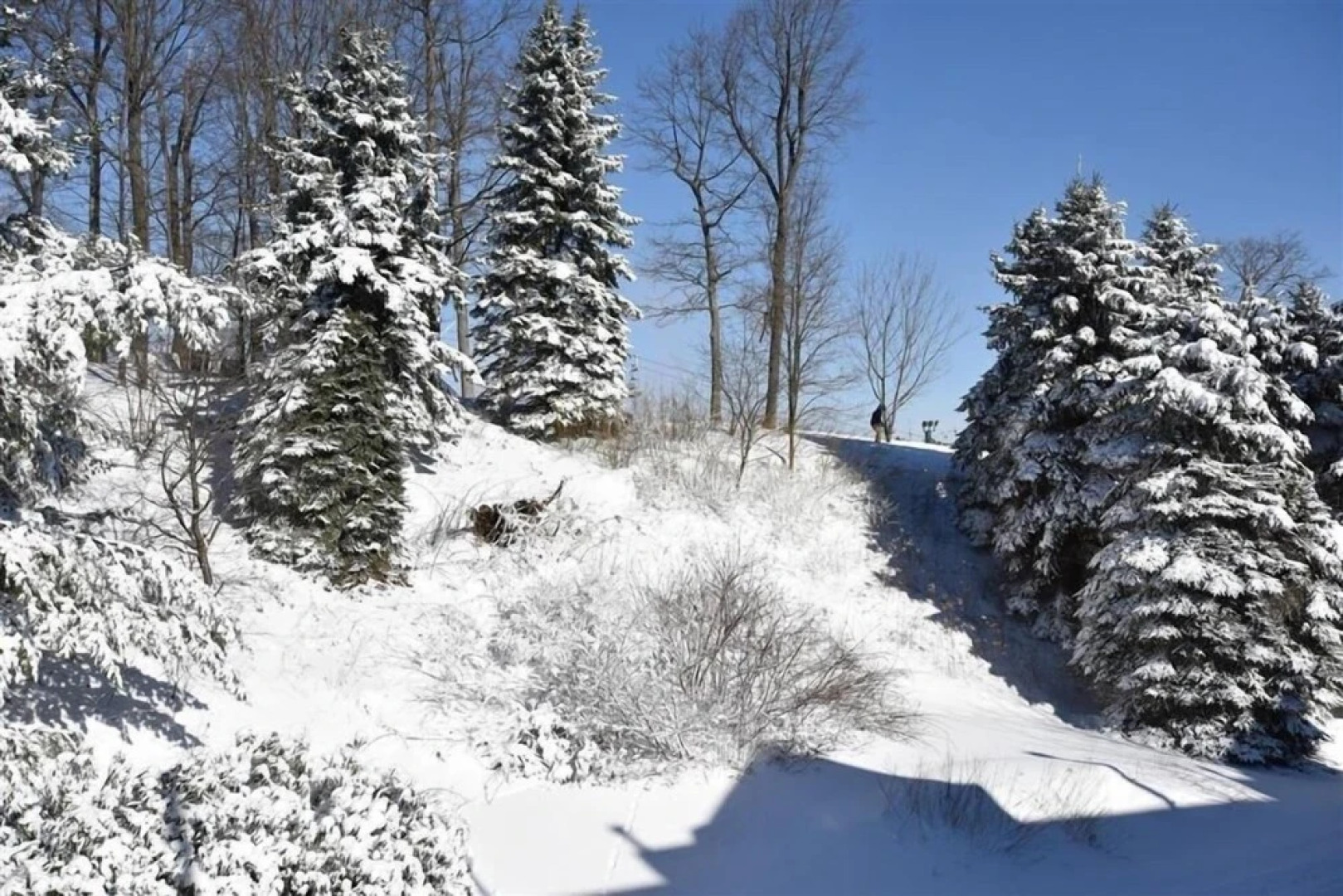 Seven Springs Stoneridge 3 BR Condo, Private Deck by RedAwning