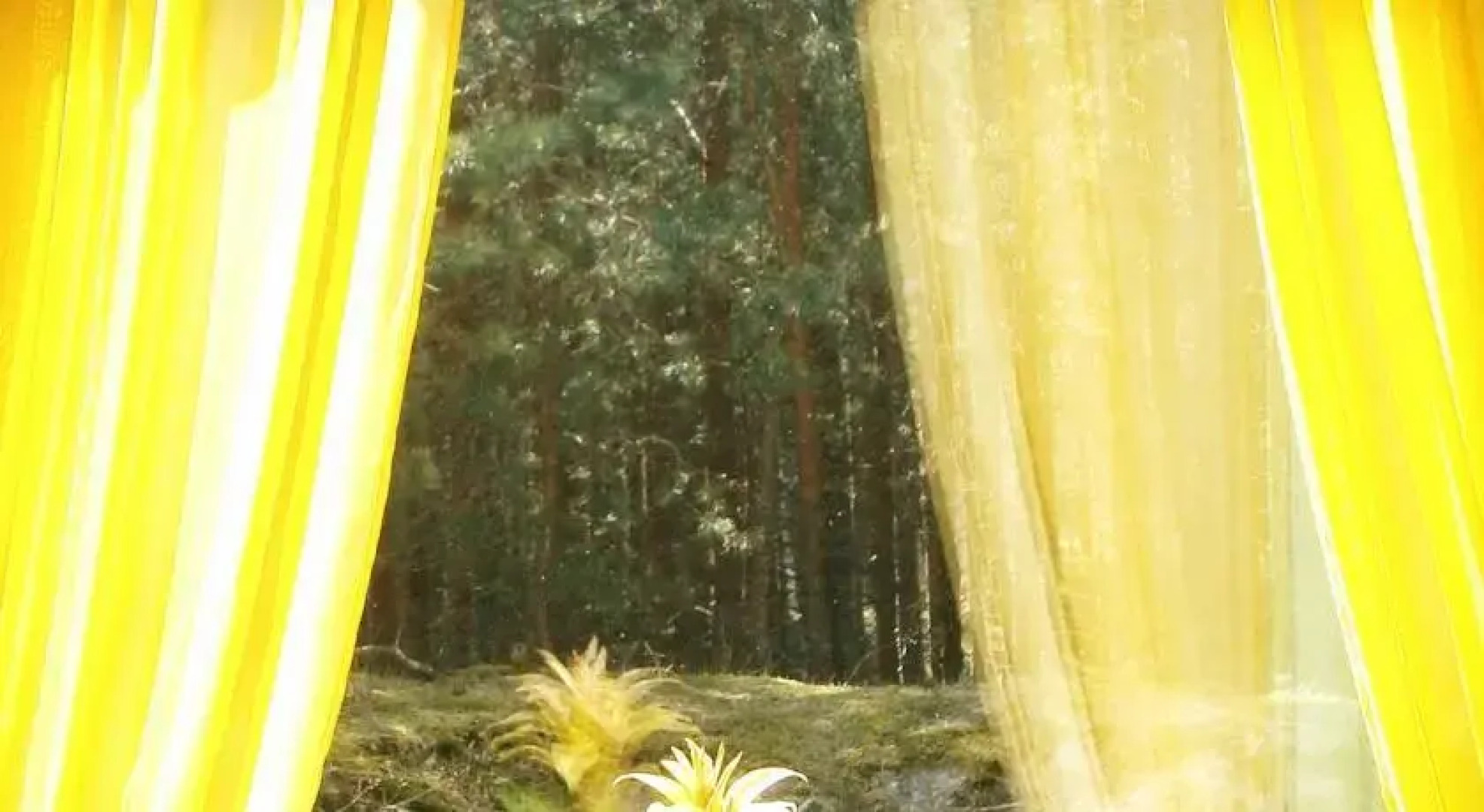 Jaukus Poilsis Pas Audrą