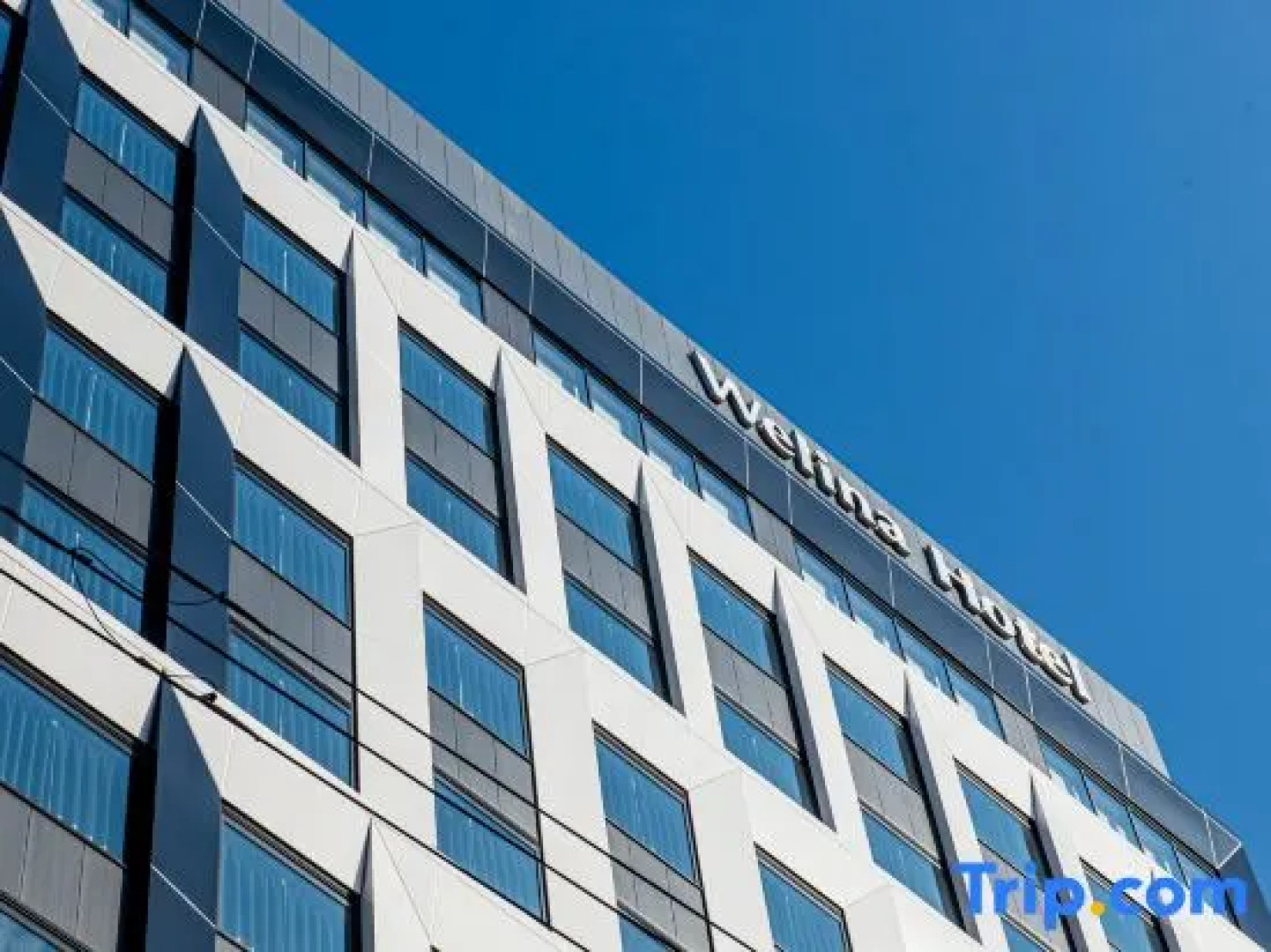 Welina Premier Osaka Namba