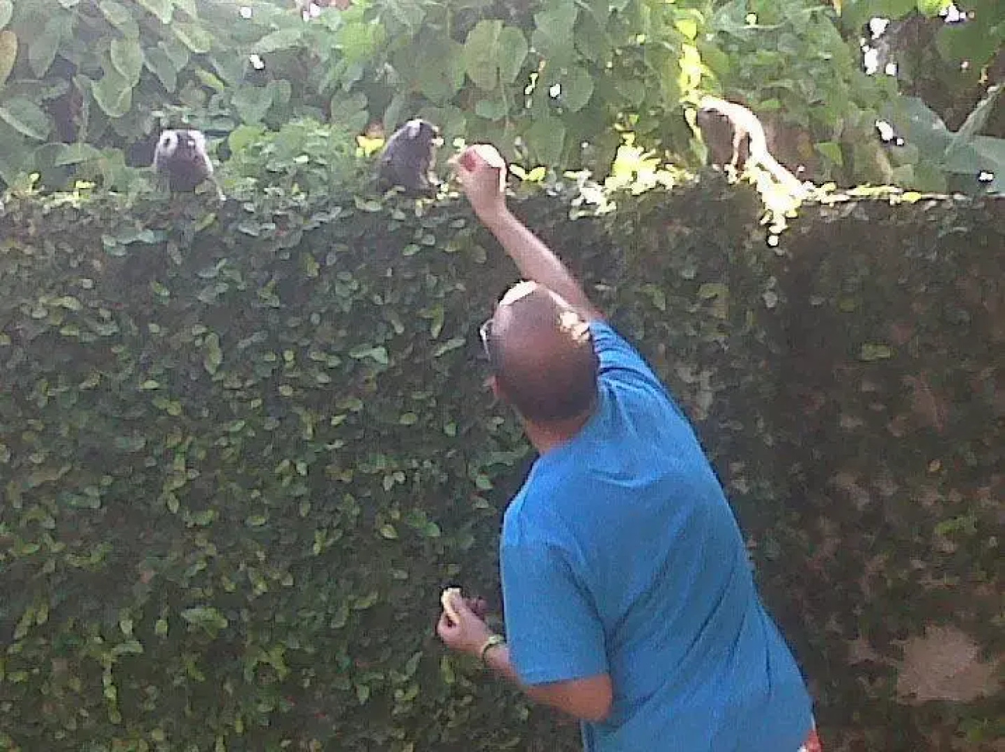 Pousada Praia Das Conchas