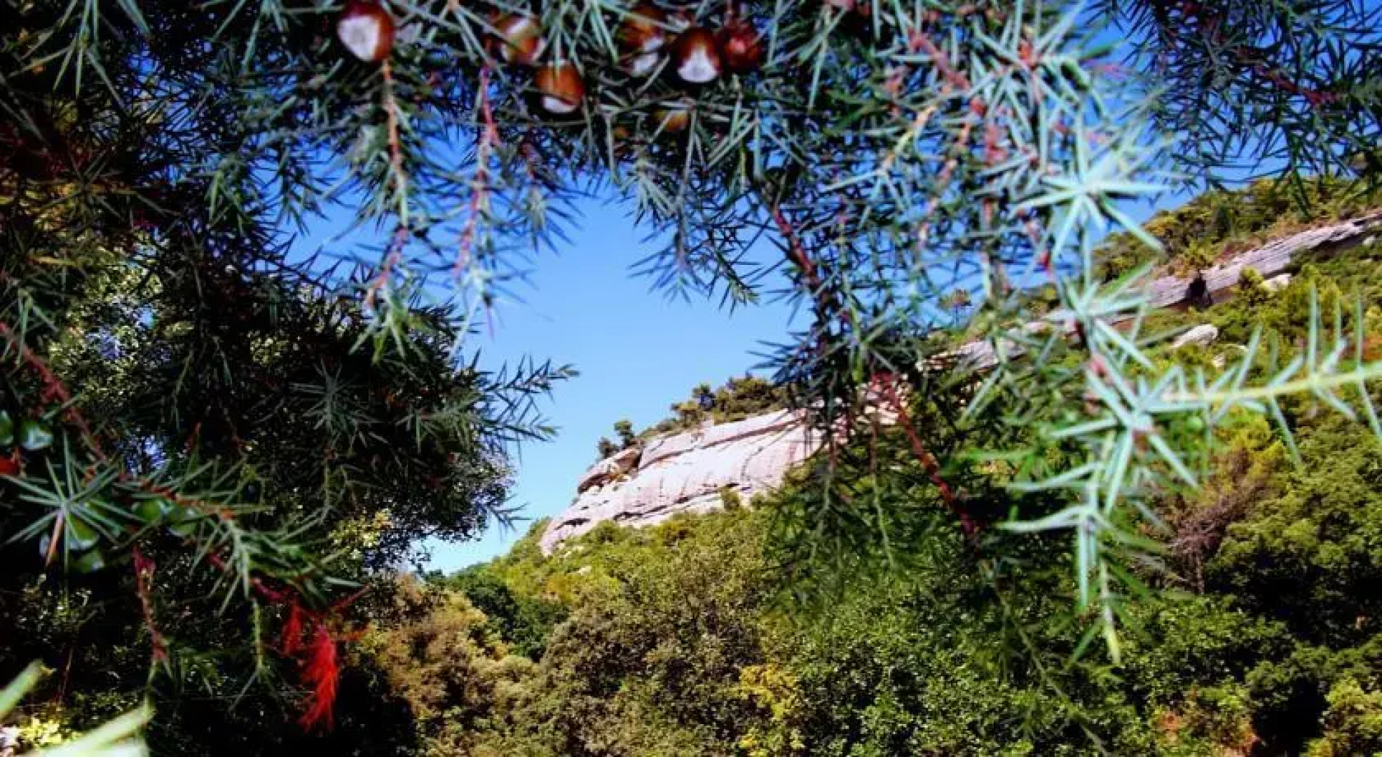 La Bastide du Vallon