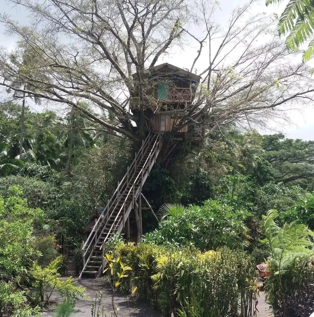 Thomas yasur view lodge
