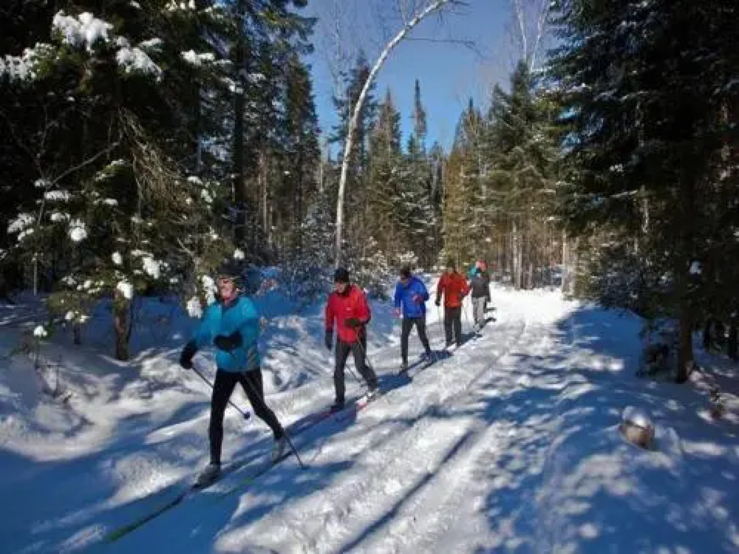 Condo Lac Archambault 310