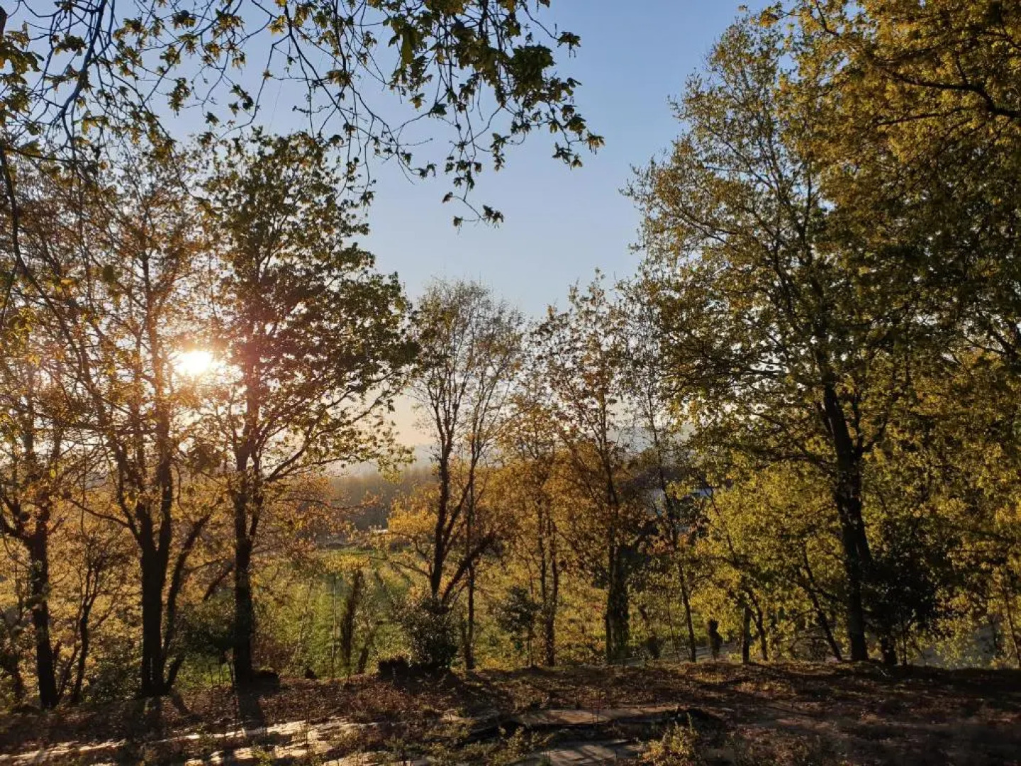 Quinta das Essencias
