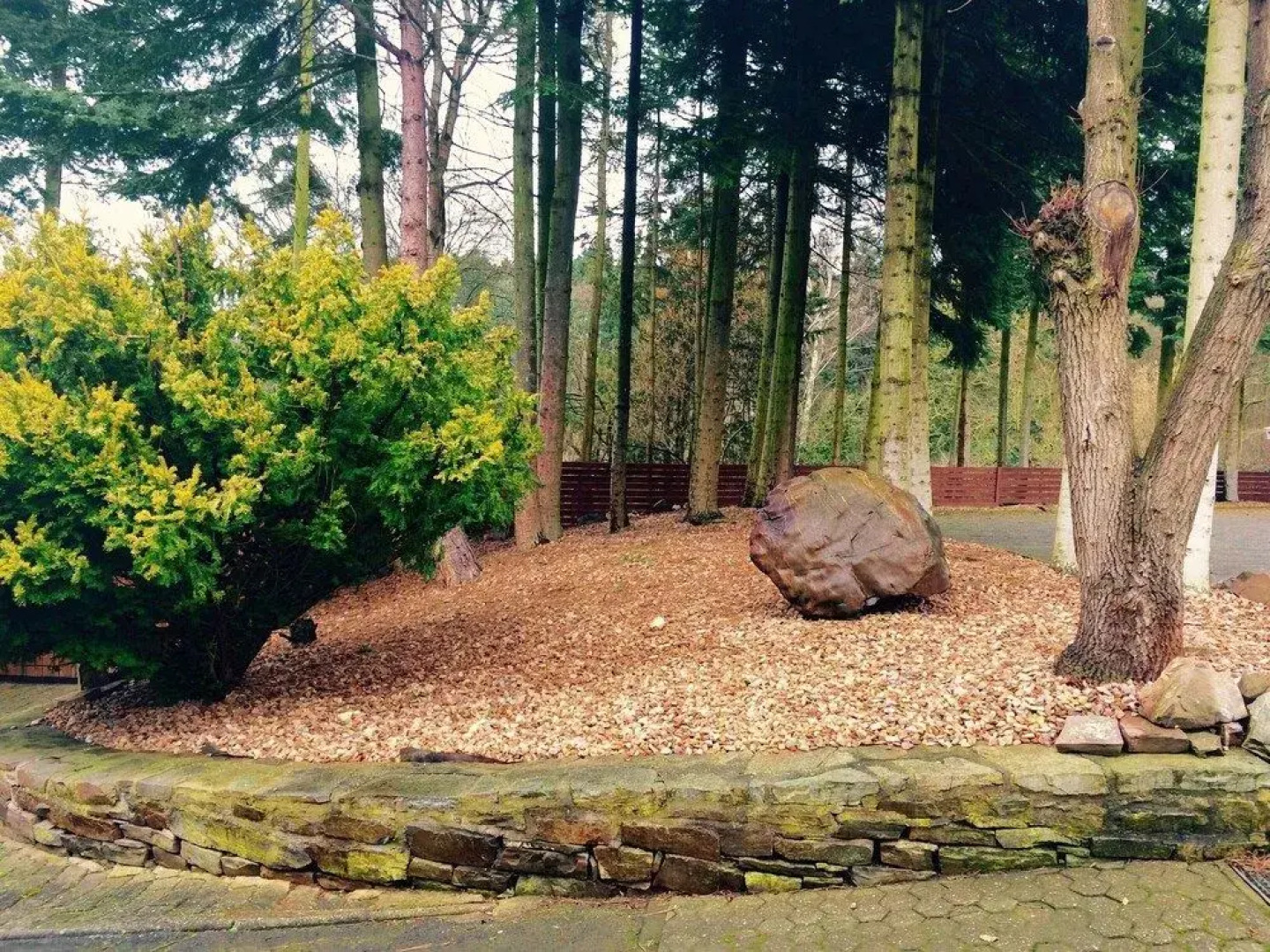 Waldhotel König von Rom