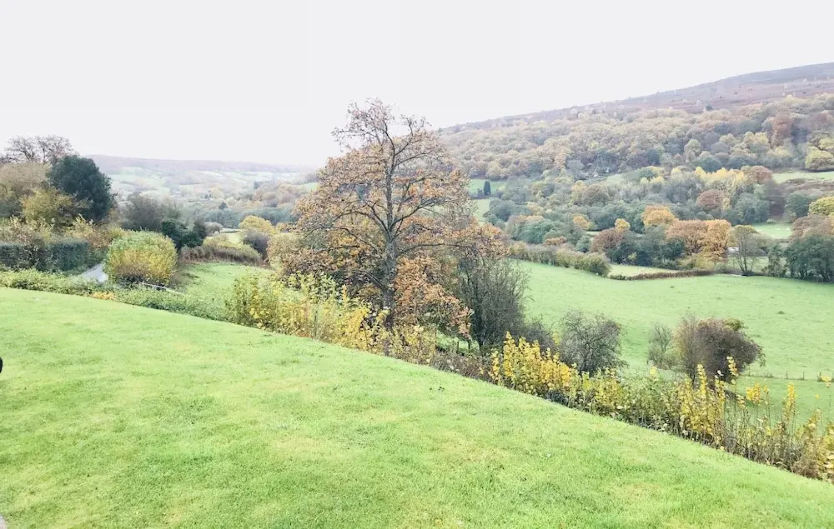 Celyn Farm Bed & Breakfast