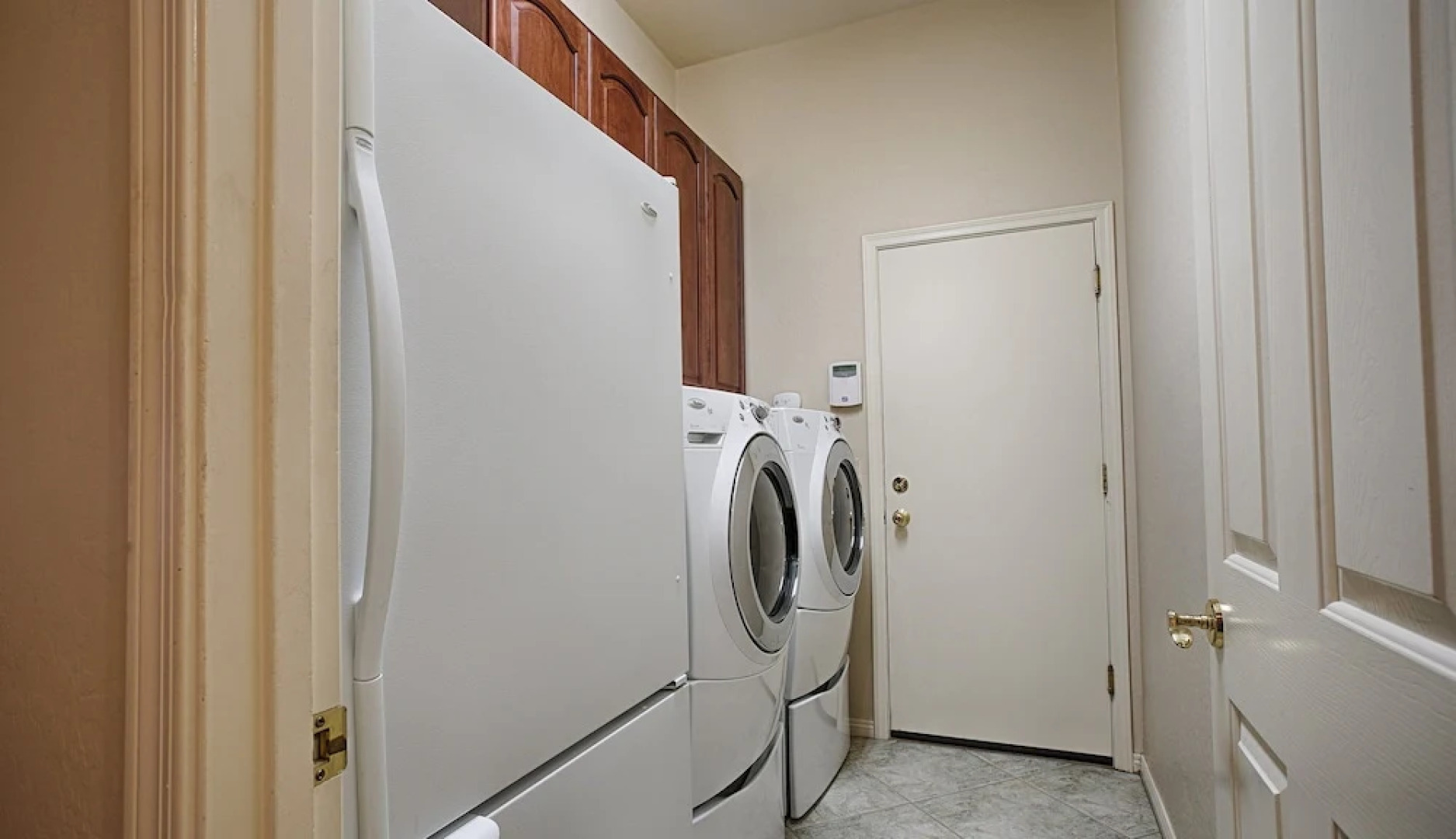 Lynx Chandler/ocotillo