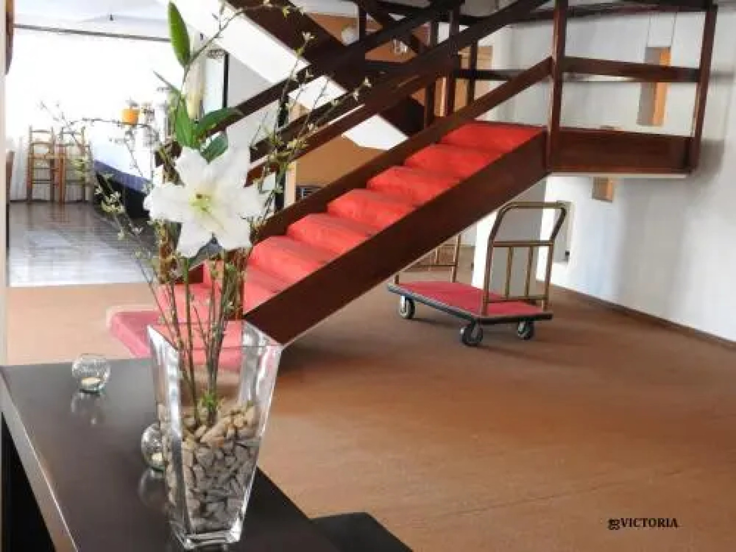 Hotel Tiburones Club