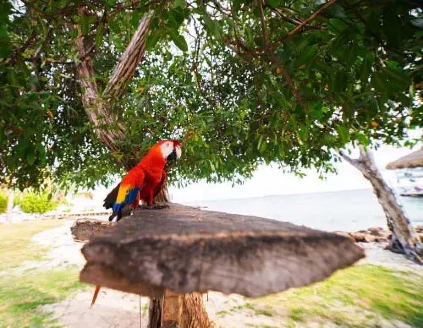 Quinta del Mar Sunset