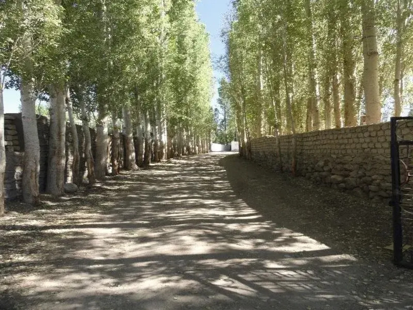 Hotel Nirvana Palace