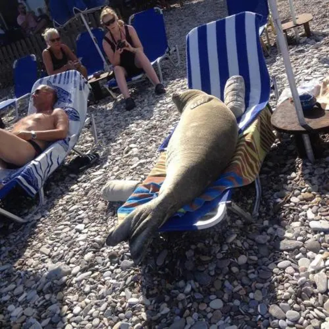 Pension Giannis Perris