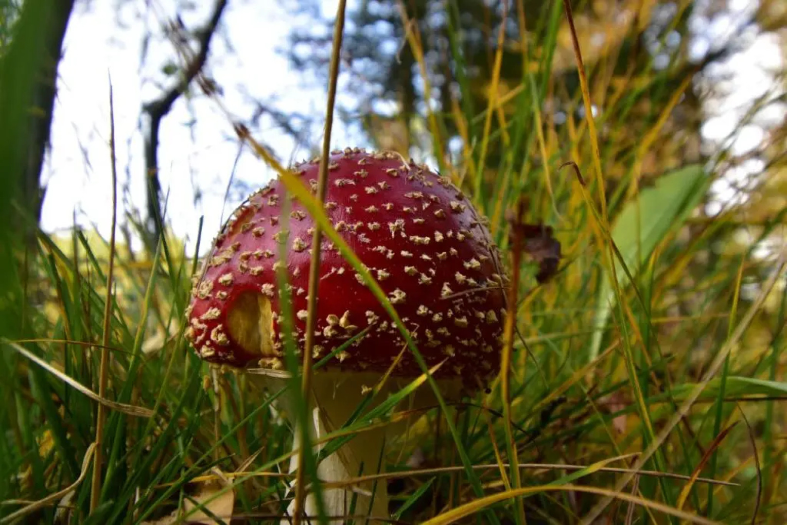 Horrmundsgården i Sälen