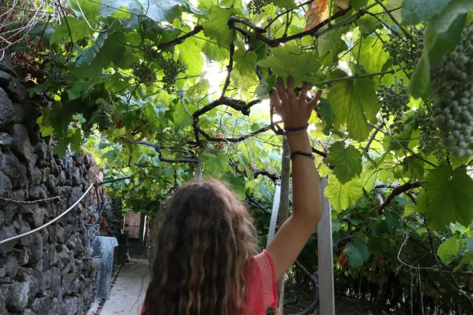 A Casa Estrelícia-Dourada Garcês