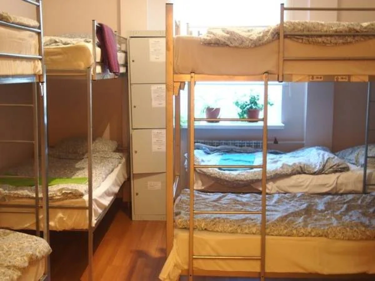 Chillax Hostels