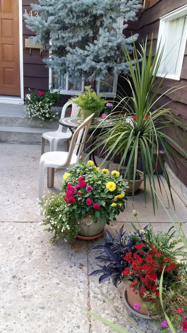 Wild Rose Bed & Breakfast