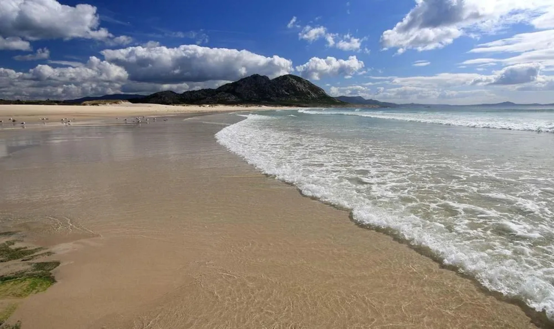 Apartment in Monte Lagoa de Louro 102053 by MO Rentals