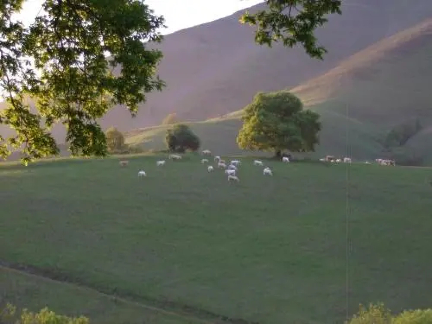 Chambres dHôtes Maison Paillet