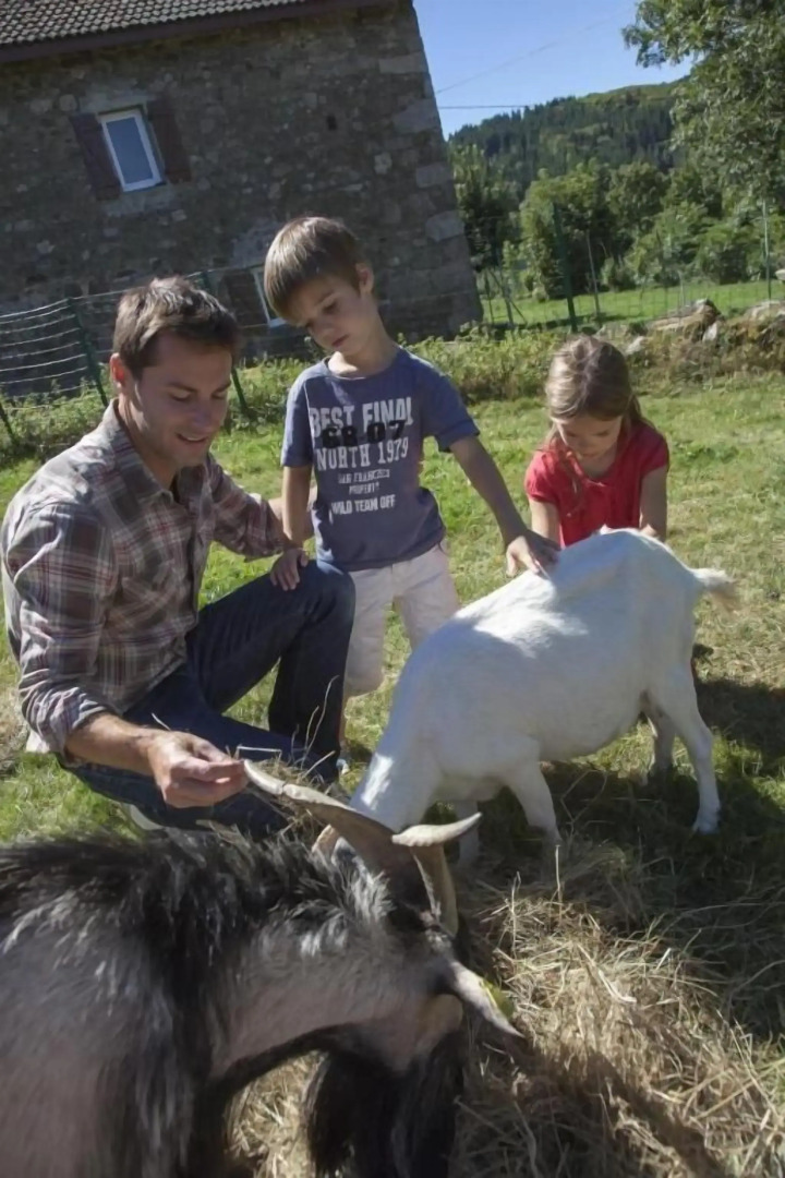 VVF Haute Loire Haute Ardèche, Tence