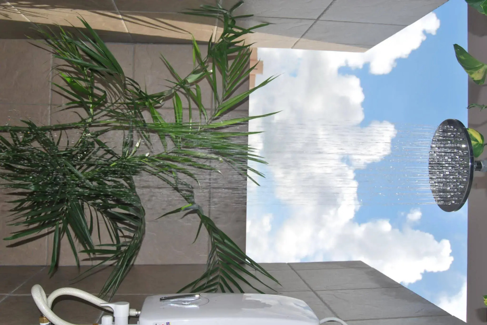 Borneo Seahare Guesthouse - Hostel