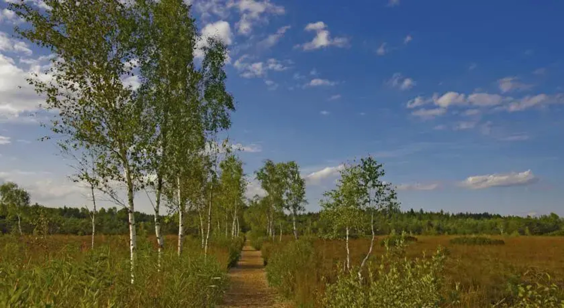 Ferienwohnung Jahner