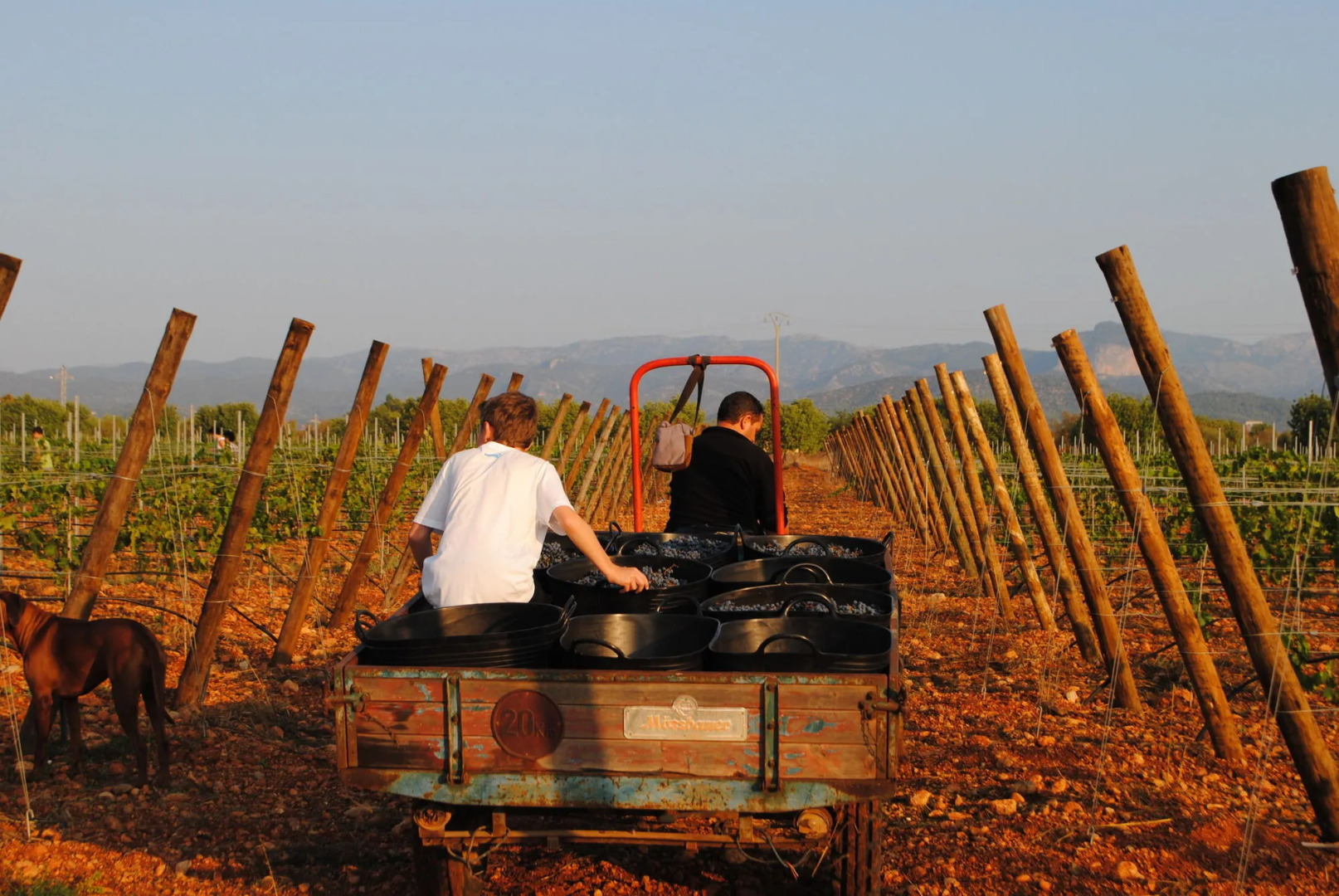 Weingut & Landhotel Can Davero