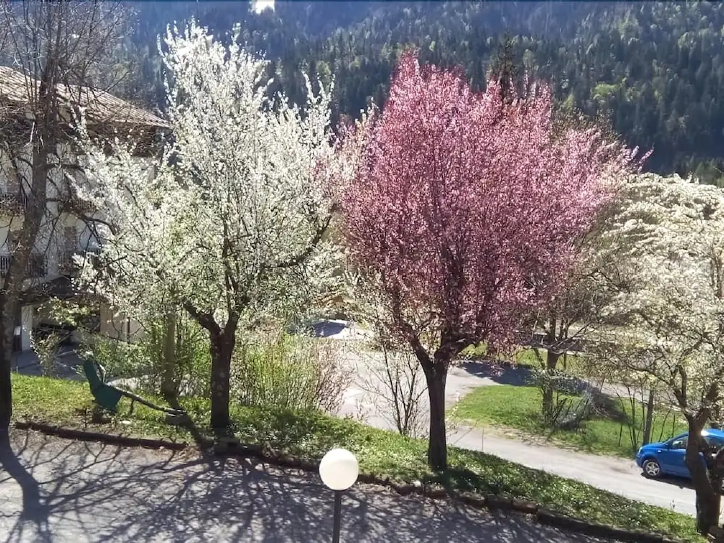 Sport Hotel Bellavista